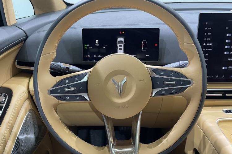Used VOYAH Dream 2025 PHEV Four-Wheel-Drive Flagship Kunpeng Edition Steering Wheel