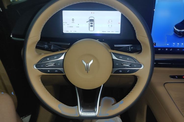 Used VOYAH Dream 2025 PHEV Four-Wheel-Drive Flagship Kunpeng Edition Steering Wheel