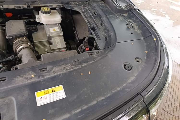 Used VOYAH Dream 2025 PHEV Four-Wheel-Drive Flagship Kunpeng Edition Engine Bay Left