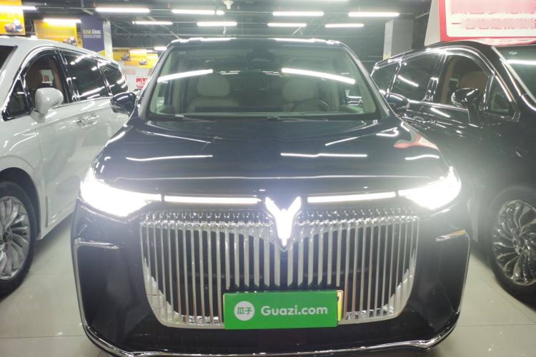 Used VOYAH Dream 2025 PHEV Four-Wheel-Drive Flagship Kunpeng Edition Exterior 1