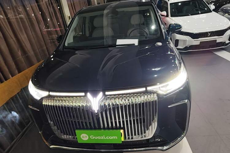 Used VOYAH Dream 2025 PHEV Four-Wheel-Drive Flagship Kunpeng Edition Front