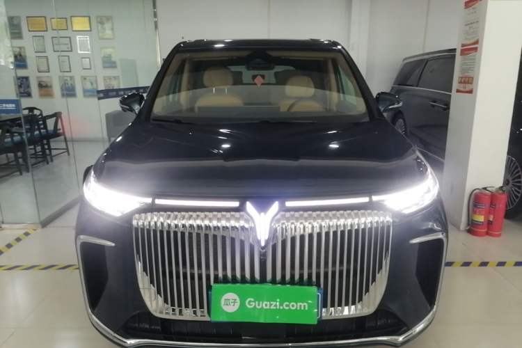 Used VOYAH Dream 2025 PHEV Four-Wheel-Drive Flagship Kunpeng Edition Front