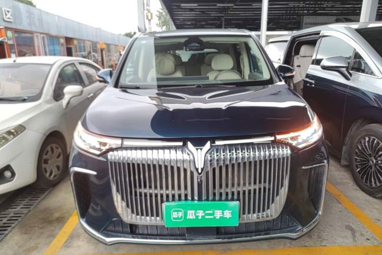 Used VOYAH Dream 2025 PHEV Four-Wheel-Drive Flagship Kunpeng Edition Front