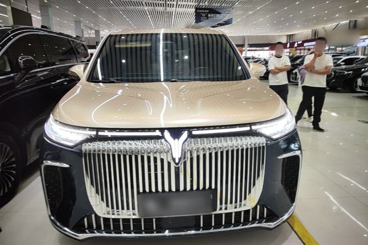 Used VOYAH Dream 2025 PHEV Four-Wheel-Drive Flagship Kunpeng Edition Front