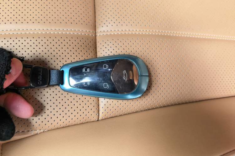 Used VOYAH Dream 2025 EV Four-Wheel Drive Prestige Kunpeng Edition Interior 1