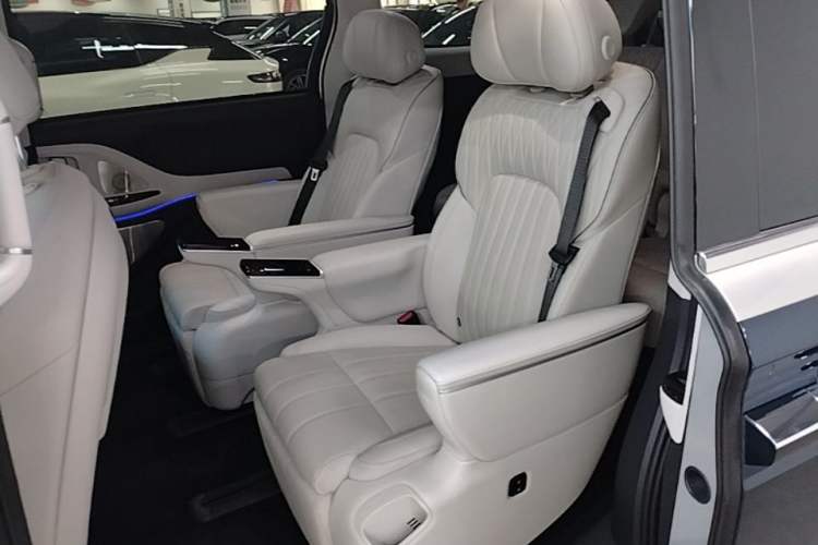 Used VOYAH Dream 2025 EV Four-Wheel Drive Flagship Kunpeng Edition Left Rear Seat