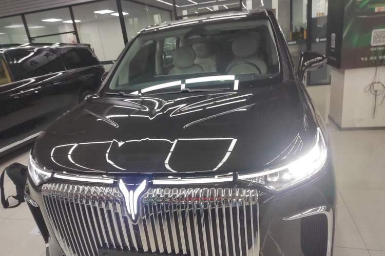 Used VOYAH Dream 2025 EV Four-Wheel Drive Flagship Kunpeng Edition Front