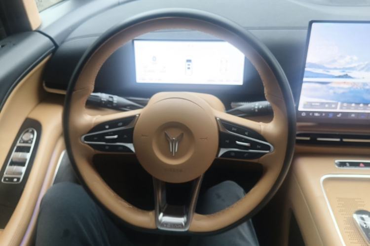 Used VOYAH Dream 2025 PHEV Four-Wheel-Drive Flagship Kunpeng Edition Steering Wheel