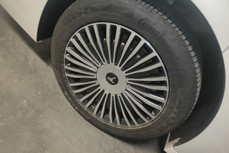 Used VOYAH Dream 2025 PHEV Four-Wheel Drive Prestige Kunpeng Edition Exterior 5