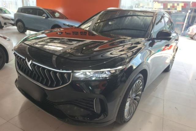 Used VOYAH FREE 2021 Two-Wheel Drive Standard Pure Electric City Edition
