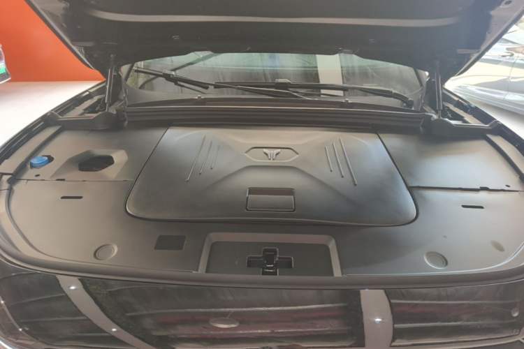 Used VOYAH FREE 2021 Two-Wheel Drive Standard Pure Electric City Edition Engine Bay