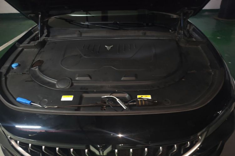 Used VOYAH FREE 2021 Four-Wheel Drive Standard Range-Extended Exclusive Luxury Package Engine Bay