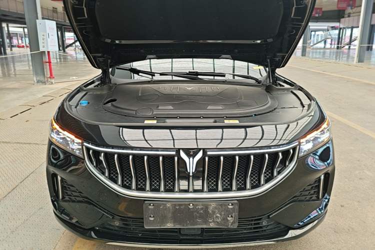 Used VOYAH FREE 2021 Four-Wheel Drive Standard Range-Extended Exclusive Luxury Package Engine Bay