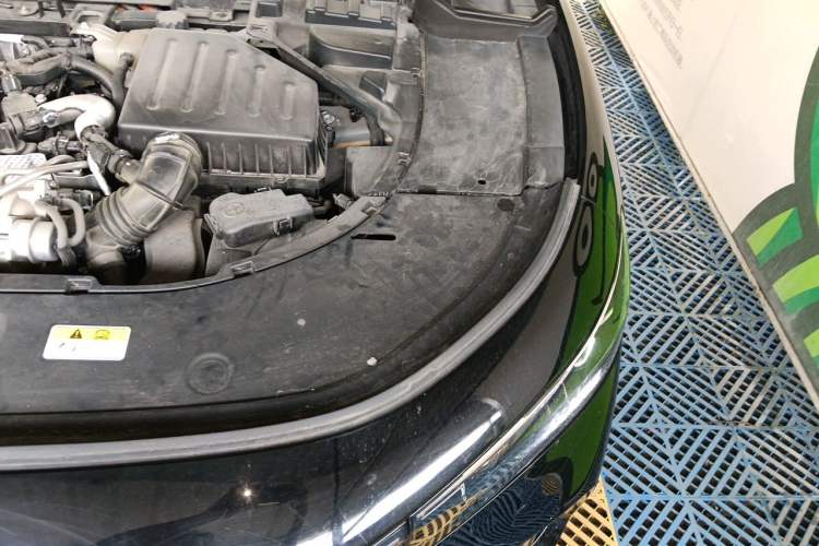Used VOYAH FREE 2021 Four-Wheel Drive Standard Range-Extended Exclusive Luxury Package Engine Bay Left