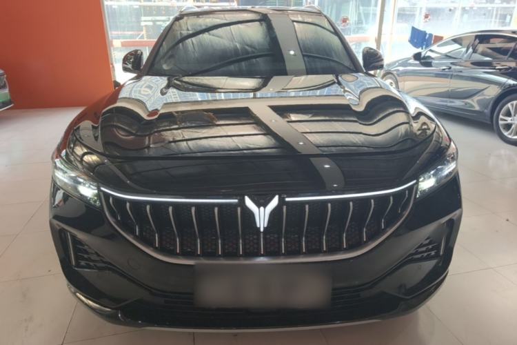 Used VOYAH FREE 2021 Two-Wheel Drive Standard Pure Electric City Edition Front