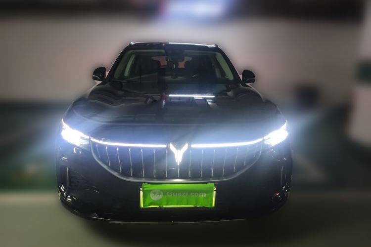 Used VOYAH FREE 2021 Four-Wheel Drive Standard Range-Extended Exclusive Luxury Package Front