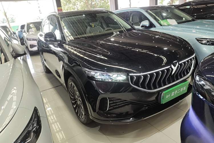 Used VOYAH FREE 2021 Four-Wheel Drive Standard Range-Extended Exclusive Luxury Package Front Right 45 Deg