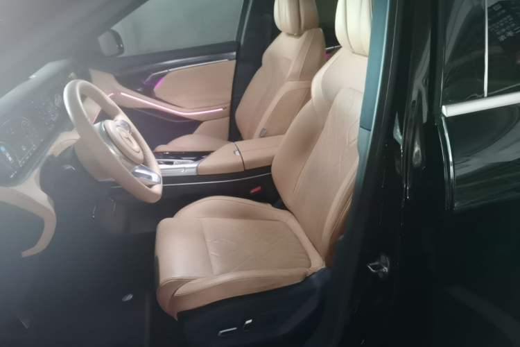 Used VOYAH FREE 2021 Four-Wheel Drive Standard Range-Extended Exclusive Luxury Package Left Front Seat