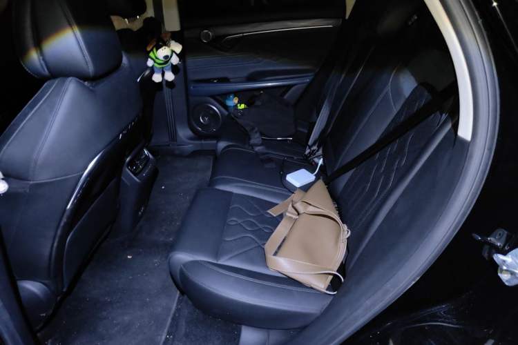 Used VOYAH FREE 2021 Four-Wheel Drive Standard Range-Extended Version Left Rear Seat