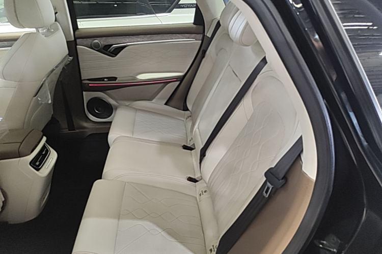 Used VOYAH FREE 2021 Four-Wheel Drive Standard Range-Extended Exclusive Luxury Package Left Rear Seat