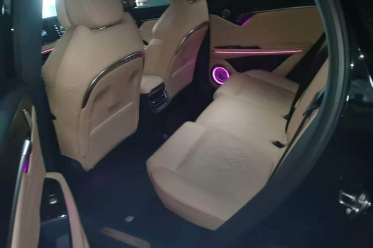 Used VOYAH FREE 2021 Four-Wheel Drive Standard Range-Extended Exclusive Luxury Package Left Rear Seat