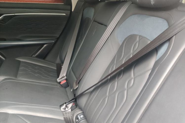 Used VOYAH FREE 2021 Four-Wheel Drive Standard Range-Extended Exclusive Luxury Package Left Rear Seat