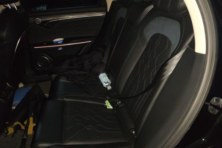 Used VOYAH FREE 2021 Four-Wheel Drive Standard Range-Extended Exclusive Luxury Package Left Rear Seat