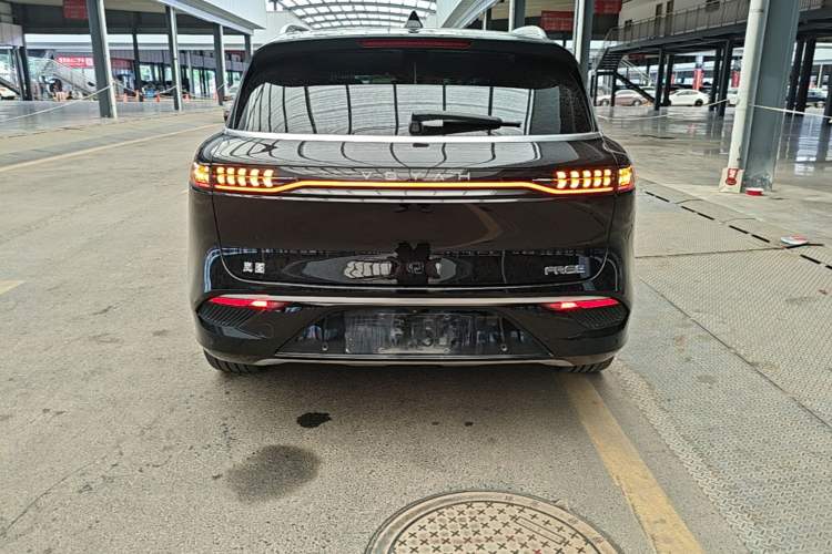 Used VOYAH FREE 2021 Four-Wheel Drive Standard Range-Extended Exclusive Luxury Package Rear