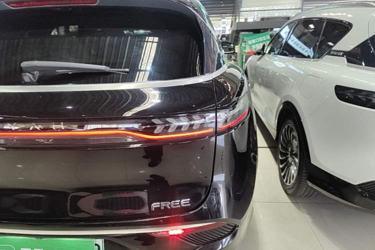 Used VOYAH FREE 2021 Four-Wheel Drive Standard Range-Extended Exclusive Luxury Package Right Rear Taillight