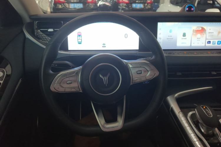 Used VOYAH FREE 2021 Two-Wheel Drive Standard Pure Electric City Edition Steering Wheel