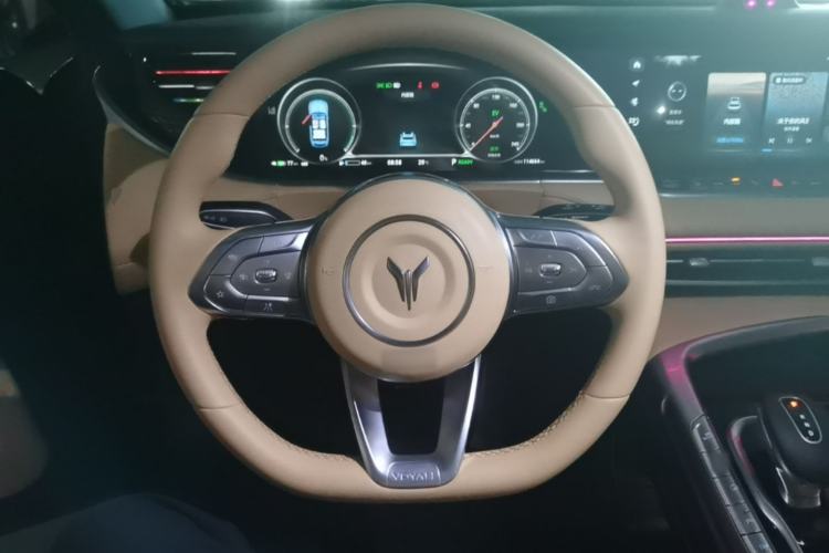 Used VOYAH FREE 2021 Four-Wheel Drive Standard Range-Extended Exclusive Luxury Package Steering Wheel