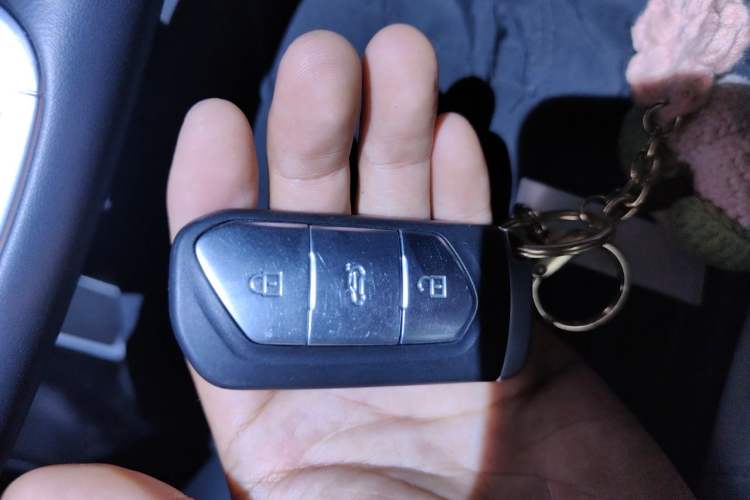 Used VOYAH FREE 2021 Four-Wheel Drive Standard Range-Extended Version Vehicle Key