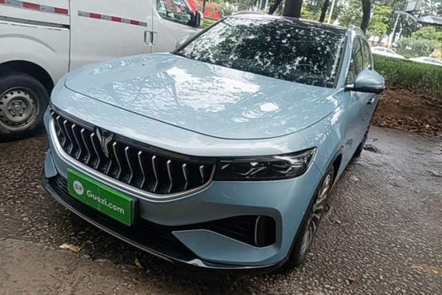 Used VOYAH FREE 2021 Two-Wheel Drive Standard Pure Electric City Edition
