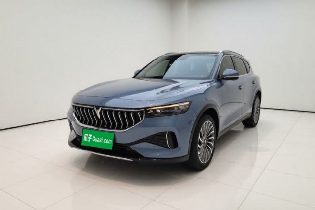 Used VOYAH FREE 2021 Four-Wheel Drive Standard All-Electric Exclusive Luxury Package