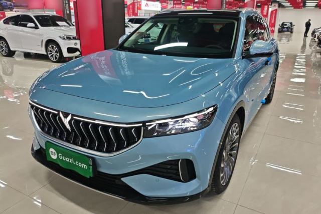 Used VOYAH FREE 2021 Two-Wheel Drive Standard Pure Electric City Edition