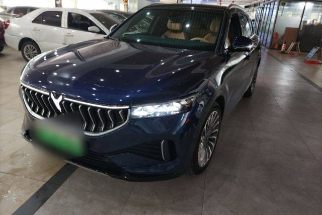 Used VOYAH FREE 2021 Two-Wheel Drive Standard Pure Electric City Edition
