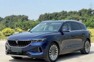 Used VOYAH FREE 2021 Four-Wheel Drive Standard Range-Extended Exclusive Luxury Package