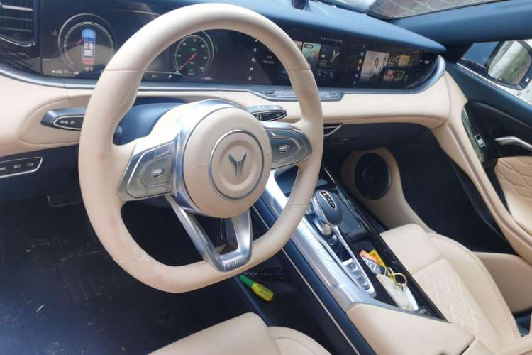 Used VOYAH FREE 2021 Four-Wheel Drive Standard Range-Extended Exclusive Luxury Package Center Console