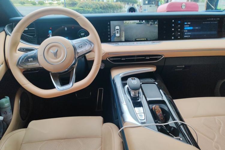 Used VOYAH FREE 2021 Four-Wheel Drive Standard All-Electric Exclusive Luxury Package Center Console