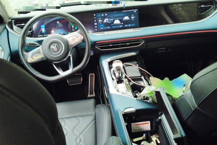 Used VOYAH FREE 2021 Four-Wheel Drive Standard Range-Extended Exclusive Luxury Package Center Console