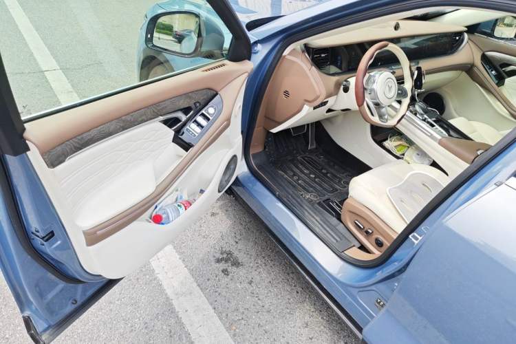 Used VOYAH FREE 2021 Four-Wheel Drive Standard All-Electric Exclusive Luxury Package Driver Seat