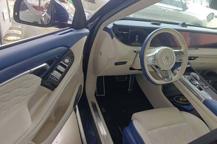 Used VOYAH FREE 2021 Four-Wheel Drive Standard Range-Extended Exclusive Luxury Package Driver Seat
