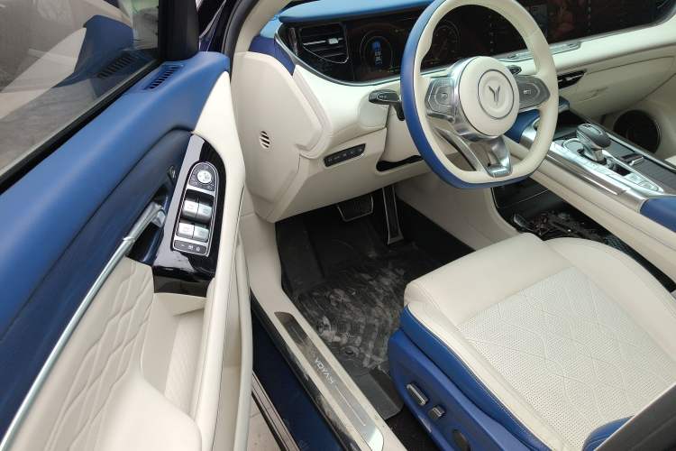 Used VOYAH FREE 2021 Four-Wheel Drive Standard All-Electric Exclusive Luxury Package Driver Seat