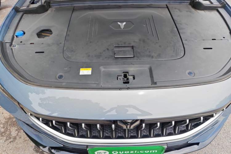 Used VOYAH FREE 2021 Four-Wheel Drive Standard All-Electric Exclusive Luxury Package Engine Bay