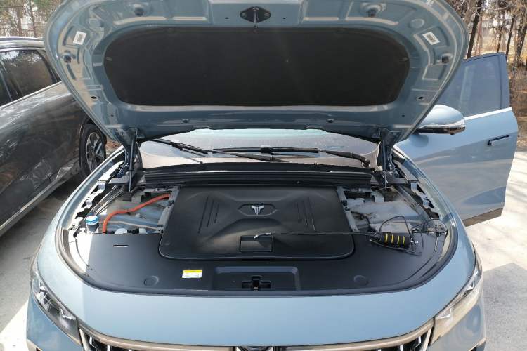 Used VOYAH FREE 2021 Four-Wheel Drive Standard All-Electric Exclusive Luxury Package Engine Bay