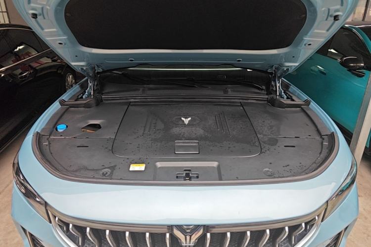 Used VOYAH FREE 2021 Two-Wheel Drive Standard Pure Electric City Edition Engine Bay