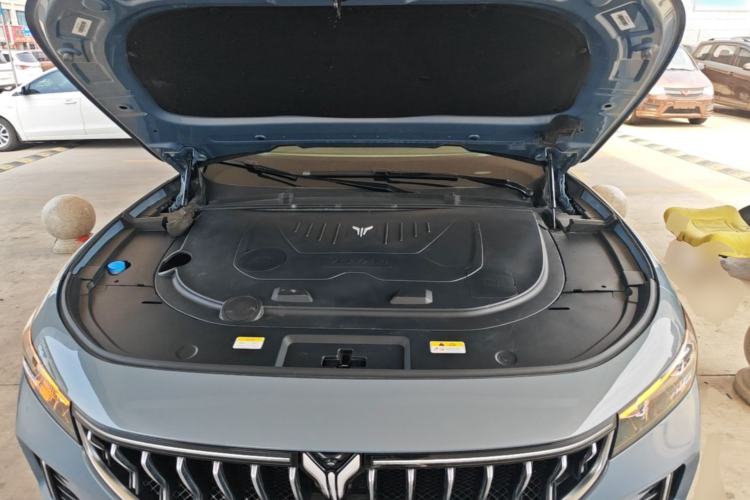 Used VOYAH FREE 2021 Four-Wheel Drive Standard Range-Extended Exclusive Luxury Package Engine Bay