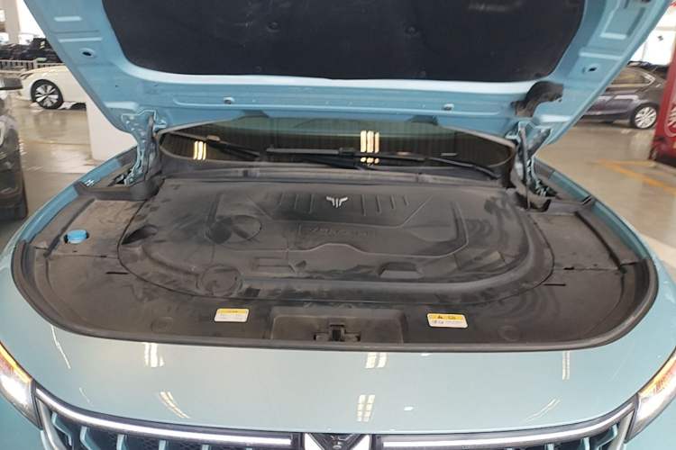 Used VOYAH FREE 2021 Four-Wheel Drive Standard Range-Extended Exclusive Luxury Package Engine Bay