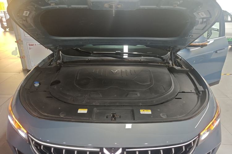 Used VOYAH FREE 2021 Four-Wheel Drive Standard Range-Extended Exclusive Luxury Package Engine Bay
