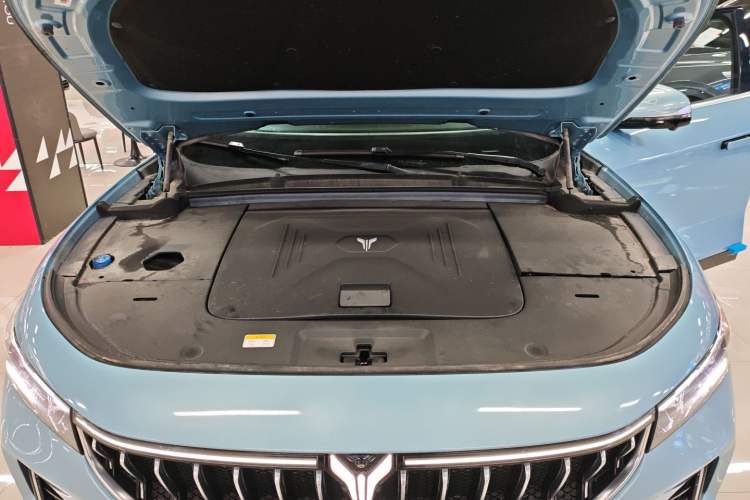 Used VOYAH FREE 2021 Two-Wheel Drive Standard Pure Electric City Edition Engine Bay